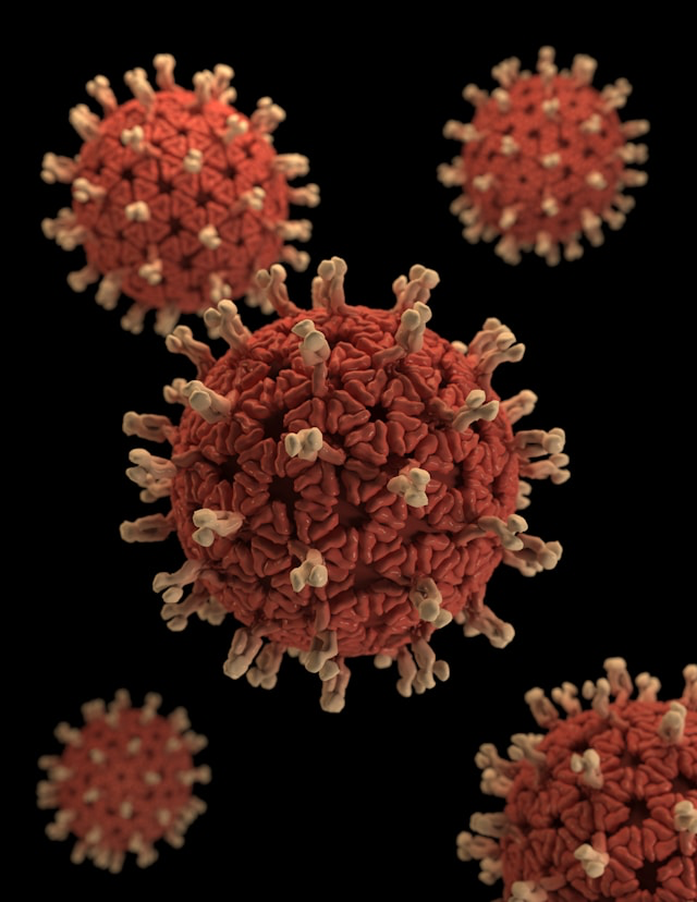 lyme disease, lyme disease symptoms, justin timberlake lyme disease, justin timberlake, lymes disease, lyme.disease, avril lavigne, lime disease