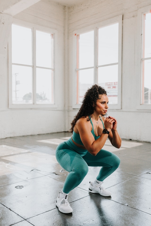 Squats Exercise Image